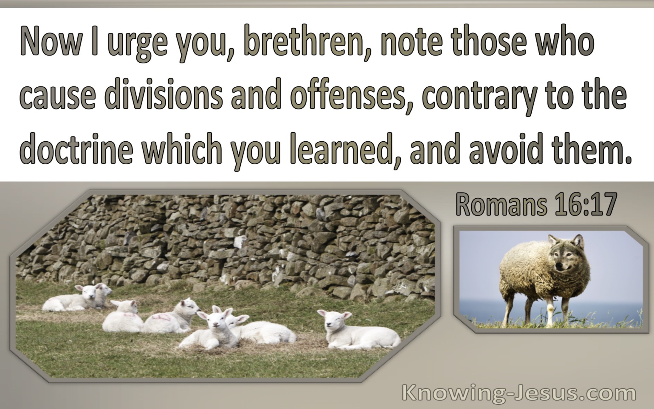 Romans 16:17 Note Those Who Cause Division Contrary To Doctrine (brown)